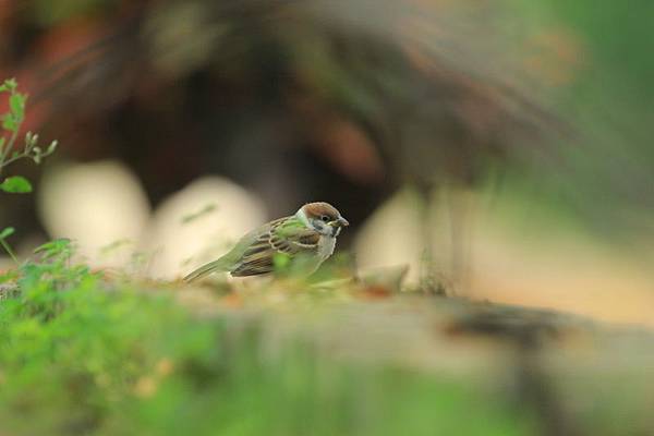 IMG_7884 IMG_7884