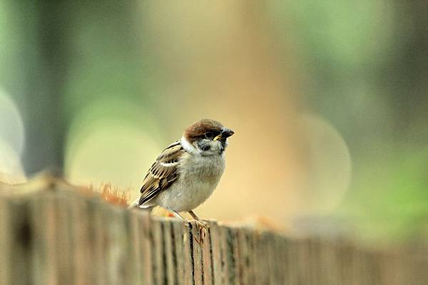 IMG_7895 IMG_7895