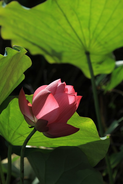 IMG_8437 IMG_8437