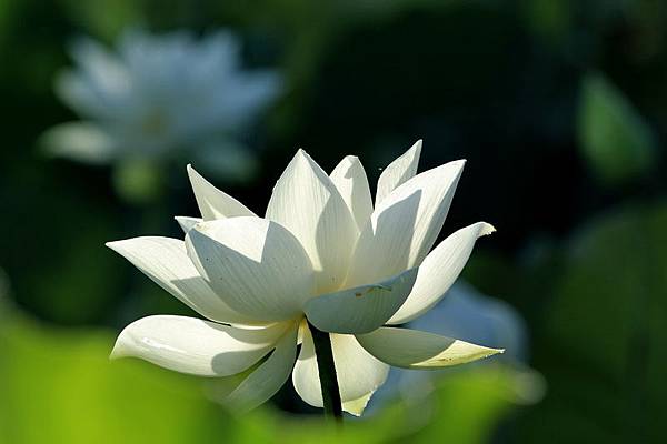 IMG_5062 IMG_5062