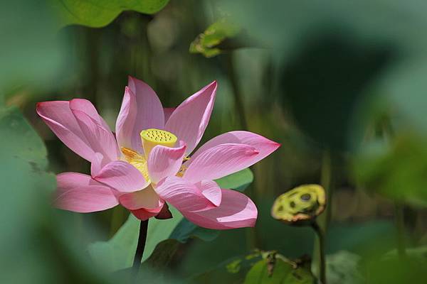 IMG_9961 IMG_9961