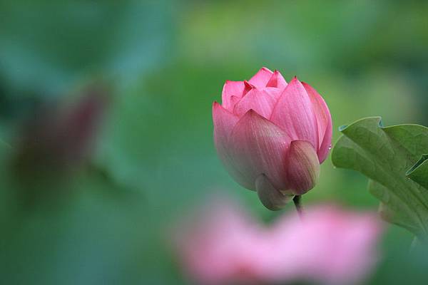 IMG_6834 IMG_6834
