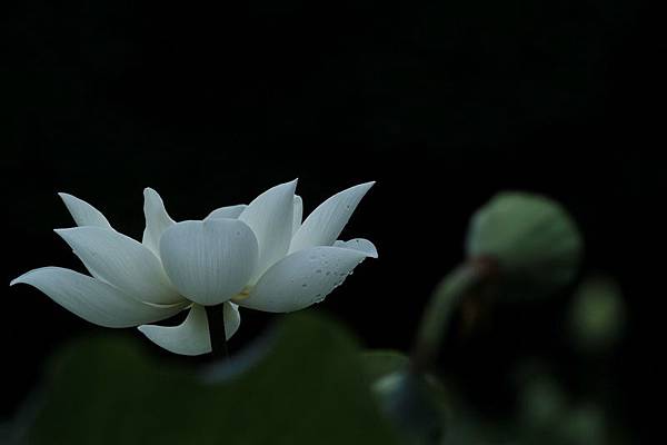 IMG_6967 IMG_6967