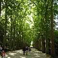 Chenonceau城