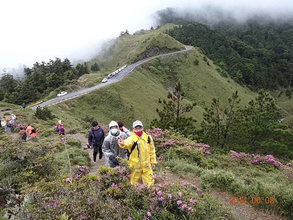 103-06-07 合歡山-111