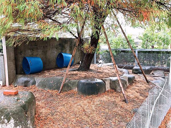 [田野之旅]苗栗公館住宿【和風民宿&食堂】民宿苗栗住宿推薦-