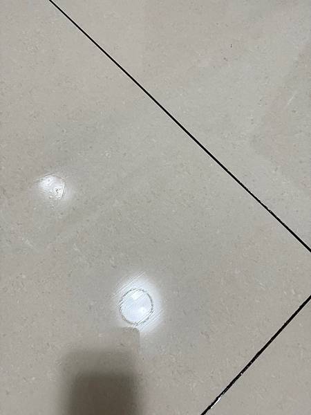 「居家清潔好物」福來朗Hukurou-TIMBER驅蟲地板清