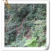 IMG_2778.JPG IMG_2778.JPG