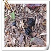 IMG_2818.JPG IMG_2818.JPG