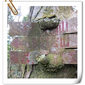 IMG_2800.JPG IMG_2800.JPG