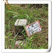 IMG_2859.JPG IMG_2859.JPG