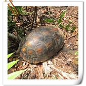 IMG_2885.JPG IMG_2885.JPG