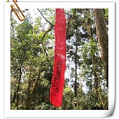 IMG_2928.JPG IMG_2928.JPG