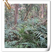 IMG_2944.JPG IMG_2944.JPG