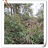 IMG_2968.JPG IMG_2968.JPG