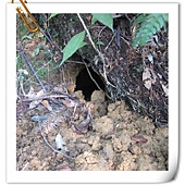 IMG_3006.JPG IMG_3006.JPG