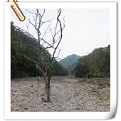 IMG_3021.JPG IMG_3021.JPG