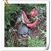 IMG_3092.JPG IMG_3092.JPG