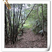 IMG_3102.JPG IMG_3102.JPG