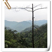 IMG_3105.JPG IMG_3105.JPG