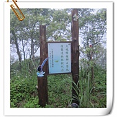 IMG_3139.JPG IMG_3139.JPG