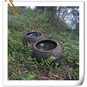 IMG_3140.JPG IMG_3140.JPG