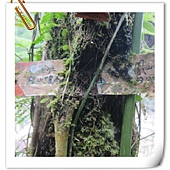 IMG_3157.JPG IMG_3157.JPG