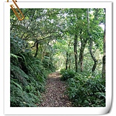 DSC_4790.JPG DSC_4790.JPG