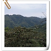 DSC_4813.JPG DSC_4813.JPG