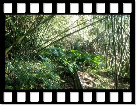 DSC_1791.JPG DSC_1791.JPG