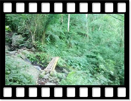 DSC_1832.JPG DSC_1832.JPG