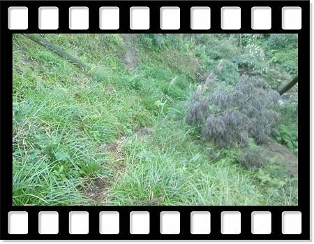 DSC_1891.JPG DSC_1891.JPG