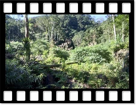 DSC_1910.JPG DSC_1910.JPG