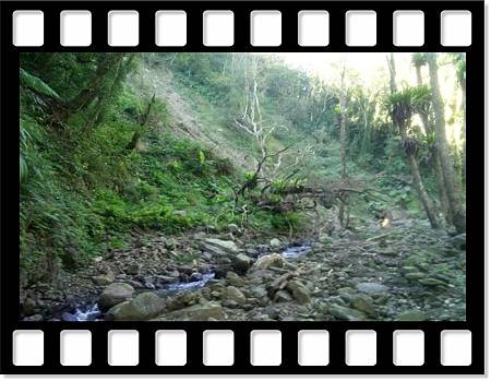 DSC_1925.JPG DSC_1925.JPG