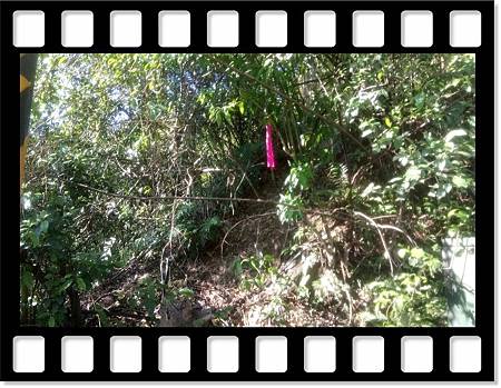 DSC_1950.JPG DSC_1950.JPG