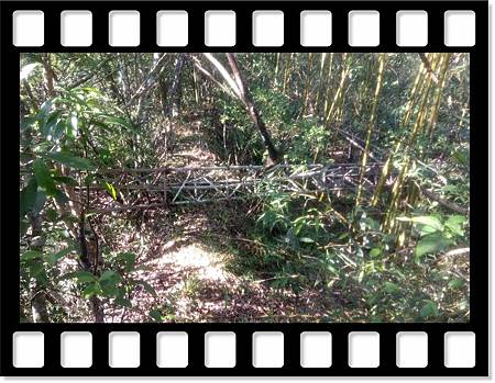 DSC_1956.JPG DSC_1956.JPG