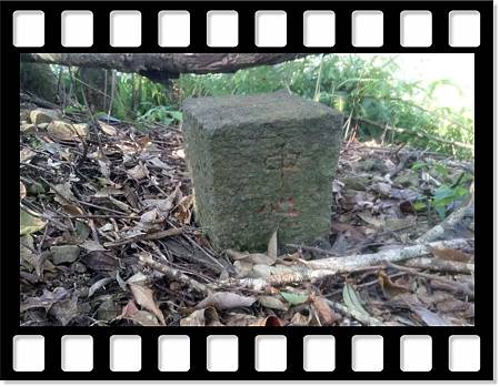 DSC_1966.JPG DSC_1966.JPG