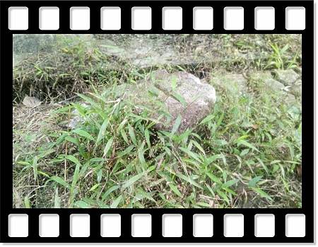 DSC_1820.JPG DSC_1820.JPG