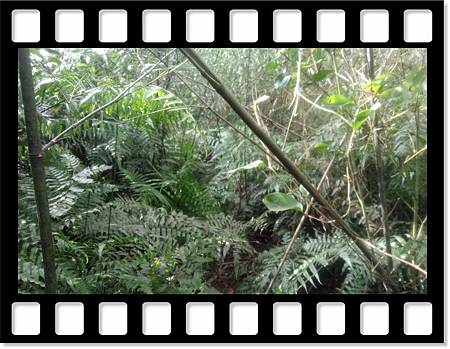 DSC_1874.JPG DSC_1874.JPG