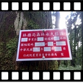 DSC_2060.JPG DSC_2060.JPG