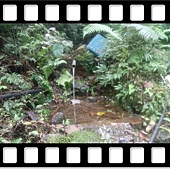 DSC_2160.JPG DSC_2160.JPG