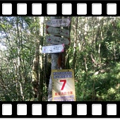 DSC_1934.JPG DSC_1934.JPG