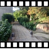 DSC_2599 - 複製.JPG DSC_2599 - 複製.JPG