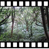 DSC_2877.JPG DSC_2877.JPG