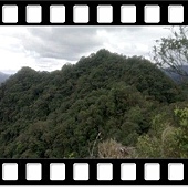 DSC_3141.JPG DSC_3141.JPG