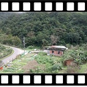 DSC_3173.JPG DSC_3173.JPG