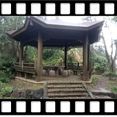 DSC_2229.JPG DSC_2229.JPG