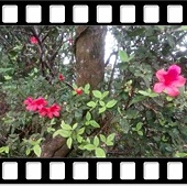 DSC_2267.JPG DSC_2267.JPG