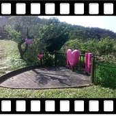 DSC_2496.JPG DSC_2496.JPG