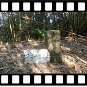 DSC_2459.JPG DSC_2459.JPG